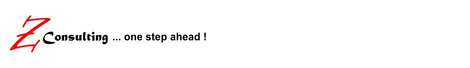 Willkommen bei Z-Consulting